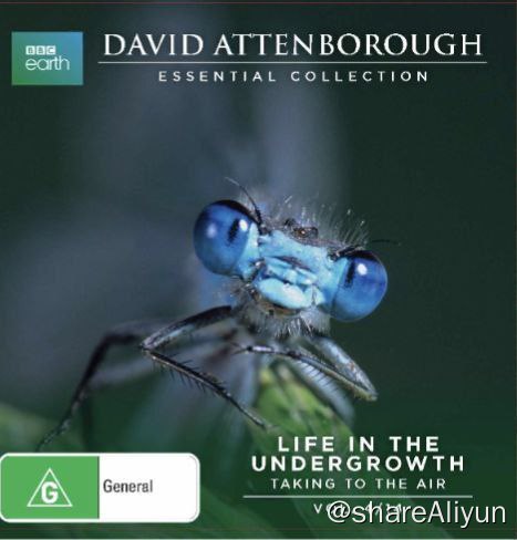 名称：BBC-灌丛下的生命 (2005) 720P 中字外挂字幕描述：欢迎来到怪异、凶猛但出奇美丽的无脊椎昆虫世界！与大卫艾登堡禄爵士一起进行开创性的探索，瞭解一个壮观、不受重视但却充斥人类周遭的迷你宇宙