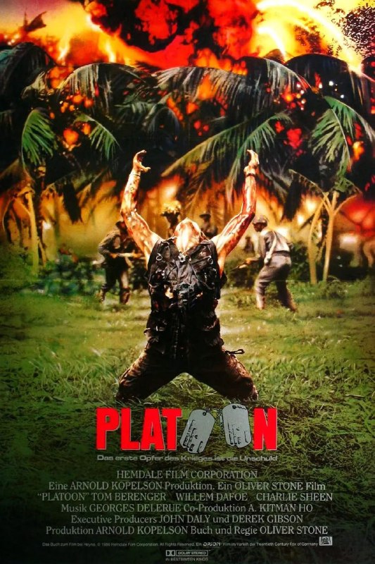名称：野战排 Platoon (1986)描述：泰勒(查理•辛 Charlie Sheen 饰)是越战期间的一名美国大学生，他前往越南前线去服兵役，被分到了一个步兵部队