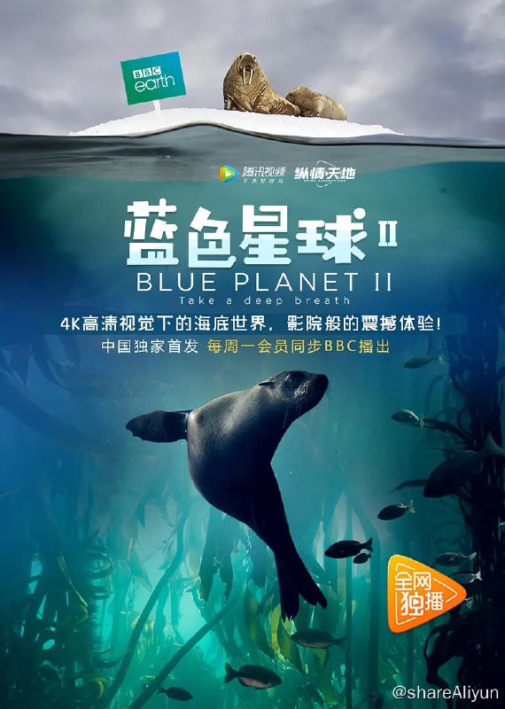 名称：蓝色星球 第二季 Blue Planet Season 2 (2017) 4K描述：《蓝色星球II》将由大卫·爱登堡爵士主持