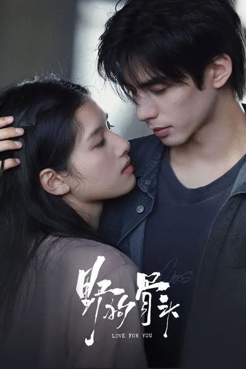 名称：野狗骨头 (2026) 4K 全32集描述：20世纪90年代，陈异和苗靖因父母的相识而结缘