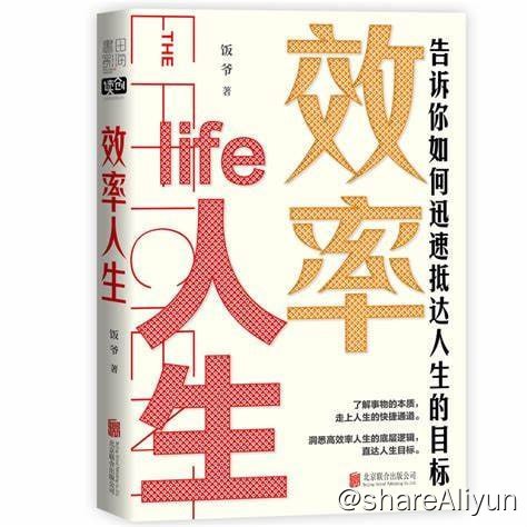 名称：《效率人生：告诉你如何迅速抵达人生的目标》描述：这是一本你迅速实现效率人生的实用指南
