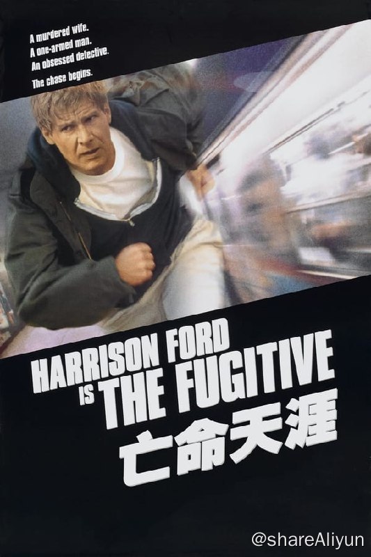 名称：亡命天涯(1999)4K REMUX描述：金波医生的妻子在家中被人谋杀，虽然金波当晚撞见独臂凶手并与之搏斗，但是凶手终于逃走，金波本人却因种种不利证据被判定为谋杀罪