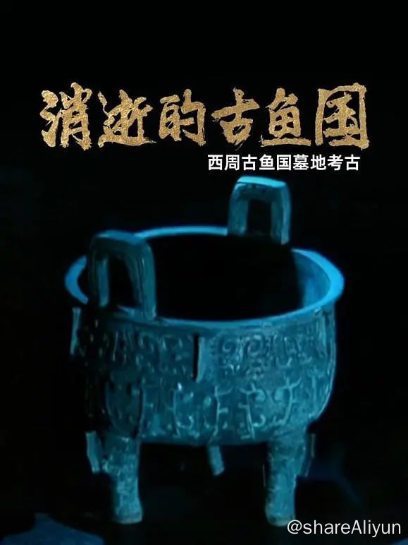 名称：消逝的古鱼国 (2024)描述：在宝鸡市茹家庄的黄土台塬上，埋藏着一个悬疑密布的墓葬