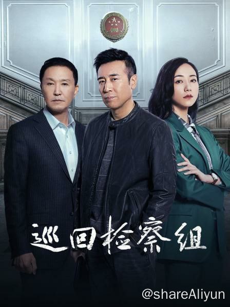 名称：巡回检察组描述：东川省“十大法治人物”表彰大会上，省检察院检察二部主任何树国突然遭遇本地“九三零杀人案”死刑罪犯家属发难
