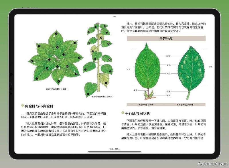名称：自然万物科普百科 法布尔植物记 + 昆虫志 + 大自然的社交网络 + 森林的奇妙旅行(套装，共5册) [多格式电子书]描述：法布尔植物记+昆虫志+大自然的社交网络+森林的奇妙旅行(套装，共5册) 备受全世界读者喜爱的森林游侠，一层层展开大自然的秘密