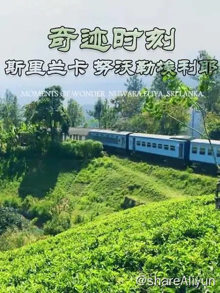 名称：奇迹时刻：斯里兰卡努沃勒埃利耶 MOMENTS OF WONDER:Nuwara Eliya (2019)描述：地球上的每个地方都有最美的一个时刻，“奇迹时刻”节目将带我们去往各地捕捉这些时刻，聆听当地居民的故事