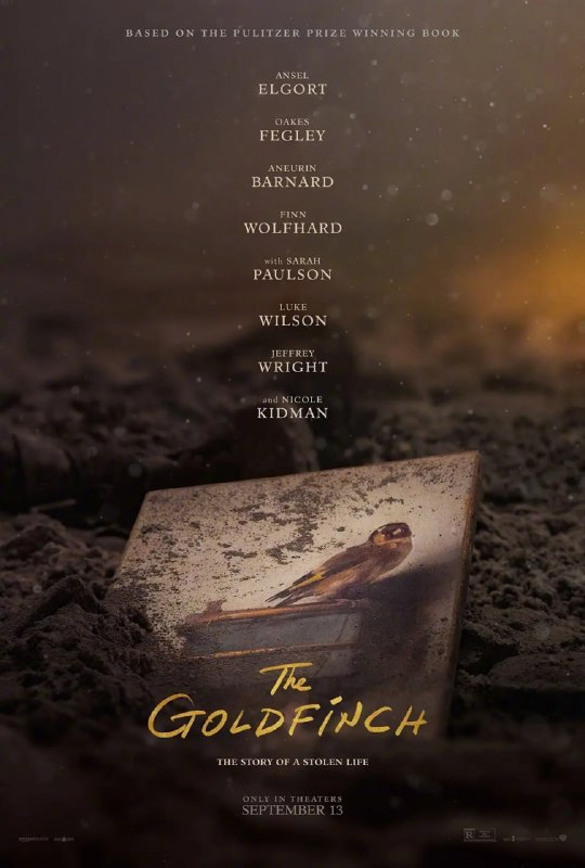 名称：金翅雀 The Goldfinch (2019)描述：西奥-戴克13岁的时候，母亲带他参观纽约大都会博物馆，然而博物馆却发生了恐袭爆炸，导致母亲丧生，西奥却奇迹般幸存