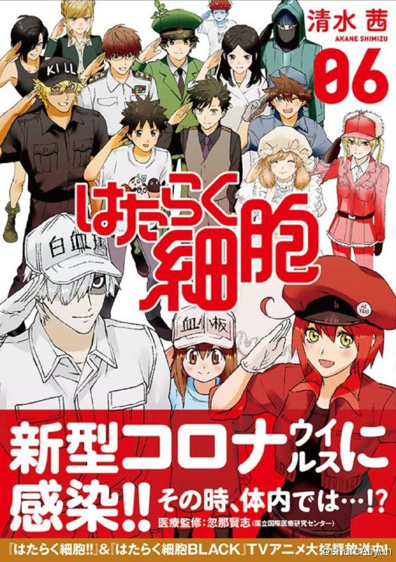 名称：工作细胞 2季全 1080P + BLACK +剧场 中字外挂字幕描述：这是一个关于你自身的故事