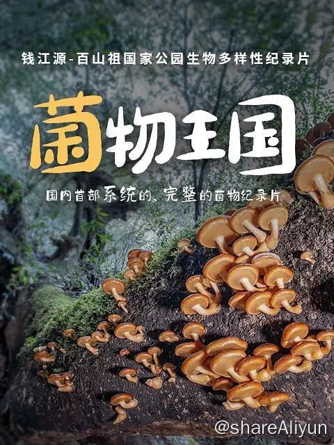 名称：菌物王国 (2023)描述：纪录片《菌物王国》，是国内首部系统的、完整的菌物纪录片