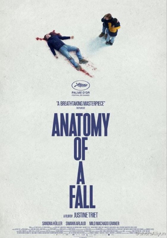 名称：坠落的审判 (2023) 1080P REMUX/原盘 中字外挂字幕描述：Sandra、Samuel以及他们视力有障碍的儿子Daniel在偏远山区生活了一年