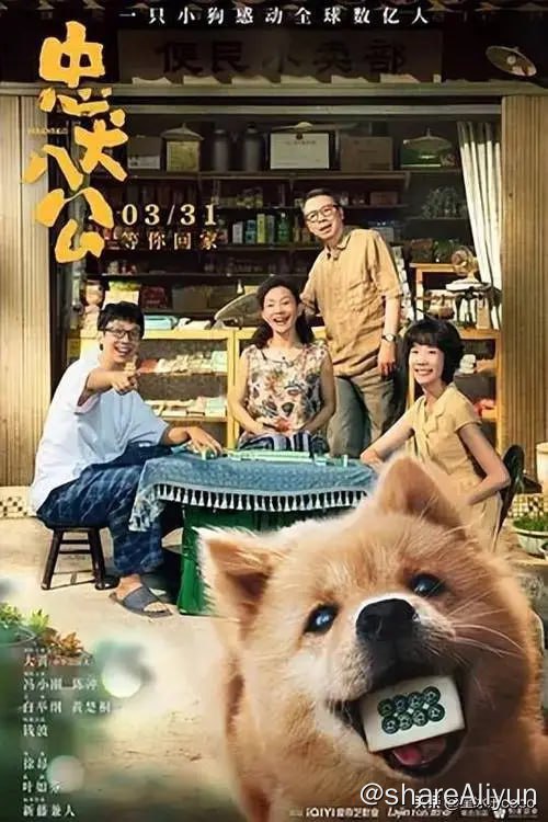 名称：《忠犬八公》 中国版 1080P描述：这是一只小狗感动全球数亿人的故事