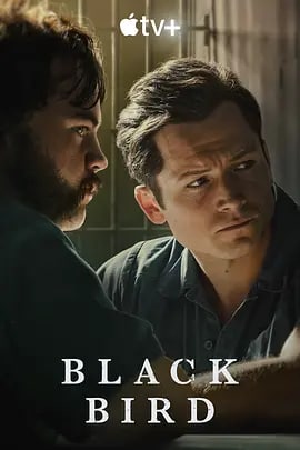 名称：黑鸟 Black Bird (2022) 1080P 中英双字描述：詹姆斯·基内（塔伦·埃哲顿 饰）出生在芝加哥，是一名警察的儿子