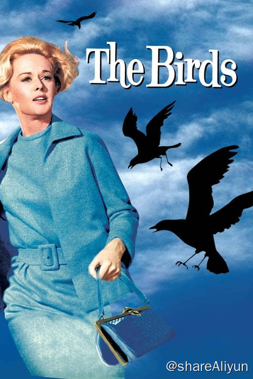 名称：群鸟 (1963)描述：米兰妮是一个富家女，偶然在宠物店里遇见律师米契，二人萌生爱意