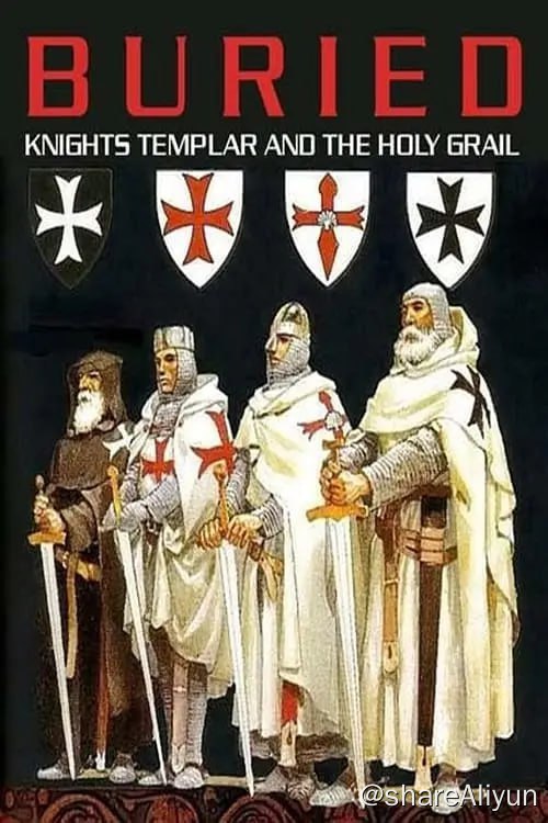 名称：埋藏的历史：圣殿骑士团和圣杯 Buried Knights Templar and the Holy Grail (2018)描述：两位有军方背景的主持人，探寻圣殿骑士团在1307年被团灭后，是否存在隐秘的历史遗迹，他们走访欧洲和中东各地，发现在耶路撒冷和阿克拉城堡地下，存在大量圣殿骑士团的隧道和仓库