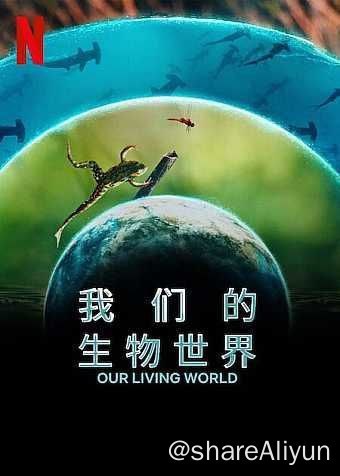 名称：我们的生物世界 (2024) 4K HDR & Dv 中字内嵌字幕描述：该纪录片系列为《全球绝美国家公园》艾美奖获奖班底最新力作，为你揭晓一个神秘的联系网络，这不仅聚集我们众人，也维系了地球上最神奇的现象：生命
