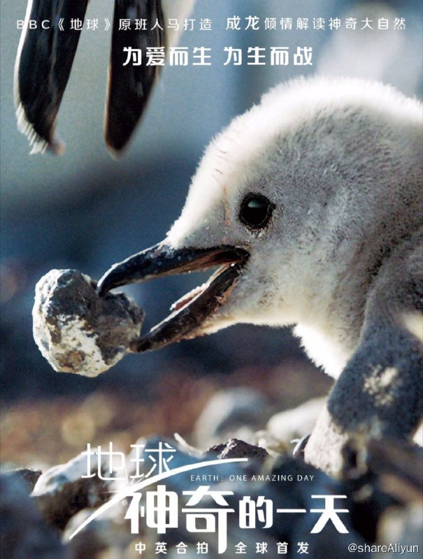 名称：神奇的一天 (2017) 4K REMUX(蓝光 原盘) 中字外挂字幕描述：曾成功推出电影《地球》的BBC地球影业带来了令人期待已久的续集——《地球：神奇的一天》，一段揭示自然界惊人力量的神奇旅程