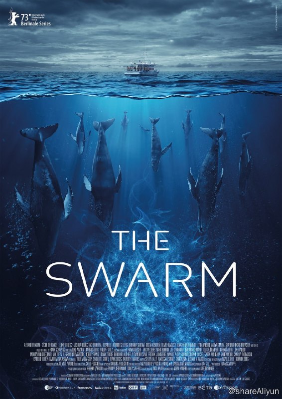 名称：种群 The Swarm (2023)描述：《The Swarm》是一部全球环境惊悚片，以弗兰克·谢特辛的著作为基础，讲述了当今世界海洋动物的反常行为和反常行为引发的动乱