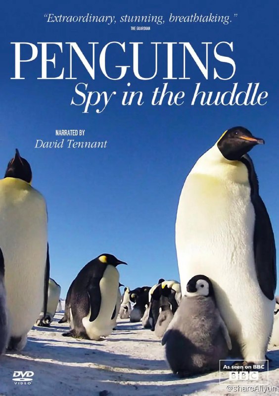 名称：企鹅群里有特务 Penguins: Spy in the Huddle (2013)描述：为了贴近拍摄到企鹅真实的生活状态，BBC派出约五十人组成的摄影团队，在将近一年的时间里，对生活在热带秘鲁的洪堡企鹅、生活在亚南极海岛上的跳岩企鹅，以及生活在寒带南极的帝企鹅进行了跟踪拍摄