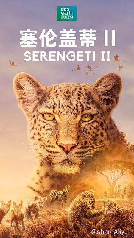 名称：《塞伦盖蒂S1-S3》4K高码 单集4.2G左右描述：新主角登场