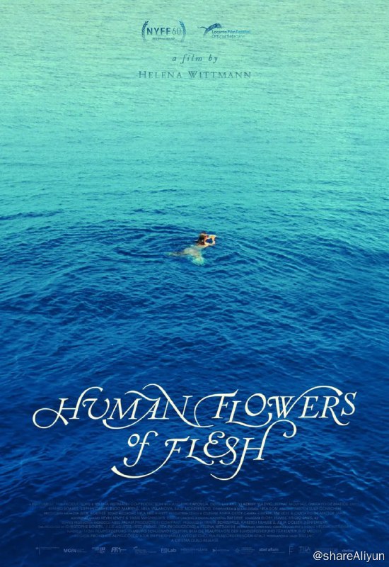 名称：人肉之花 Human Flowers of Flesh (2023)描述：继令人印象深刻的《漂移》（Drift）之后，海伦娜·惠特曼（Helena Wittmann）的第二部电影以地中海为背景，其催眠般的跨大西洋镜头让人想起迈克尔·斯诺（Michael Snow）