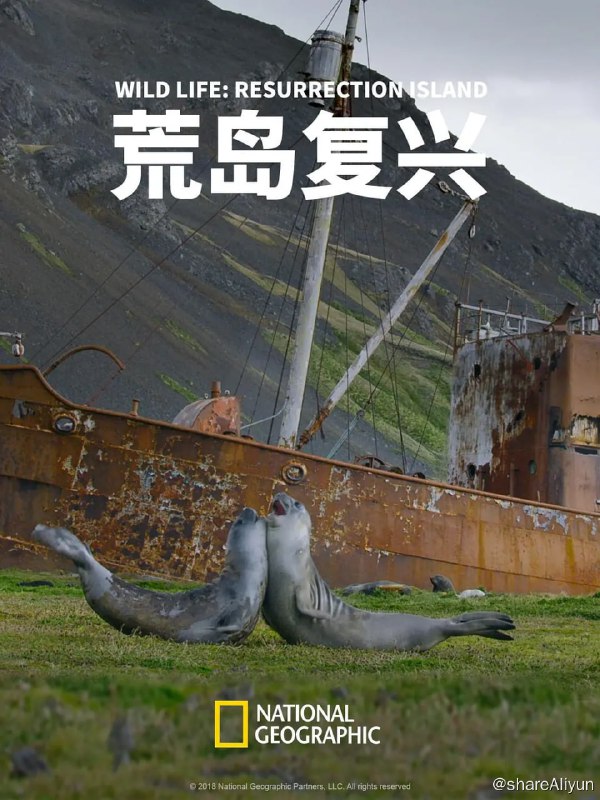 名称：荒岛复兴 Wild Life Resurrection Island (2018)描述：有多大的可能性能死而复生？南乔治亚州的岛屿曾是一副史上最惨烈的野生动物杀戮场景