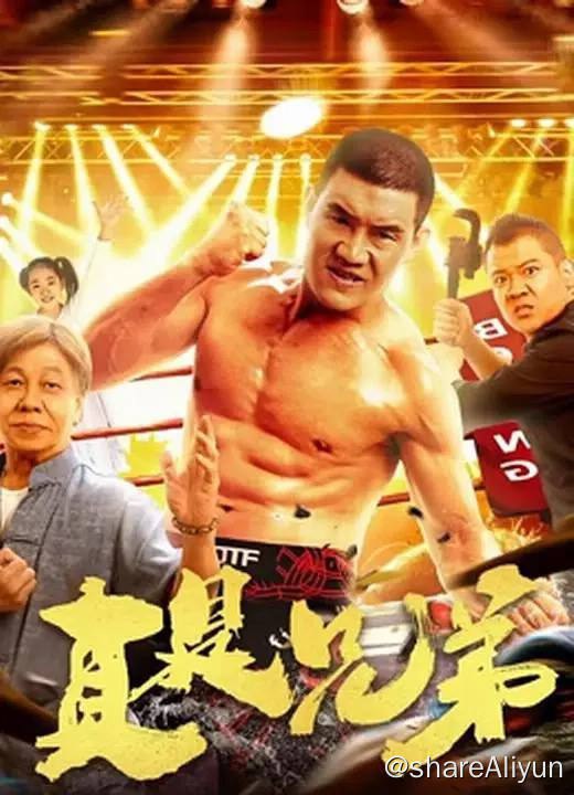 名称：真是兄弟（2024）4K EDR 高码率描述：本片以热血温情的手法，表现了以吴田为代表的小人物身陷困惑与窘境之中百折不挠奋勇不屈的可贵精神