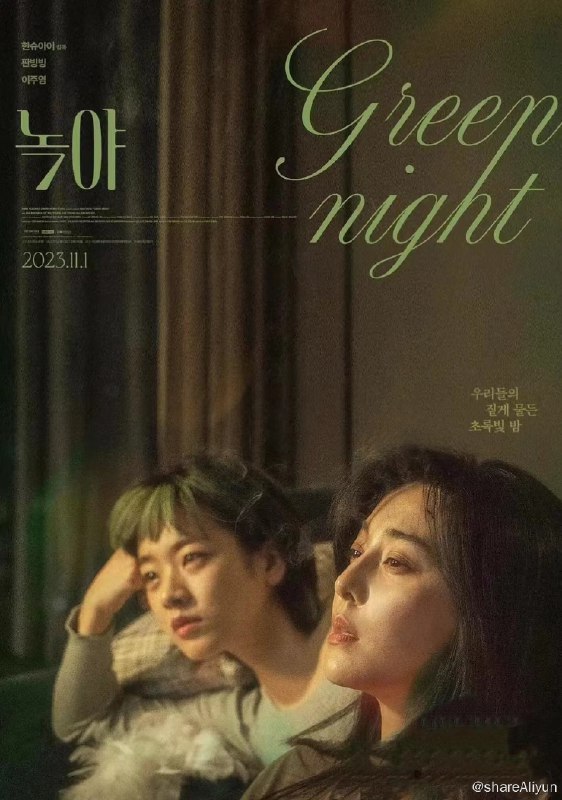 名称：绿夜 范冰冰 韩语中字描述：中国移民静霞在首尔机场安检处工作，某天一个绿发女孩闯入了她的视线