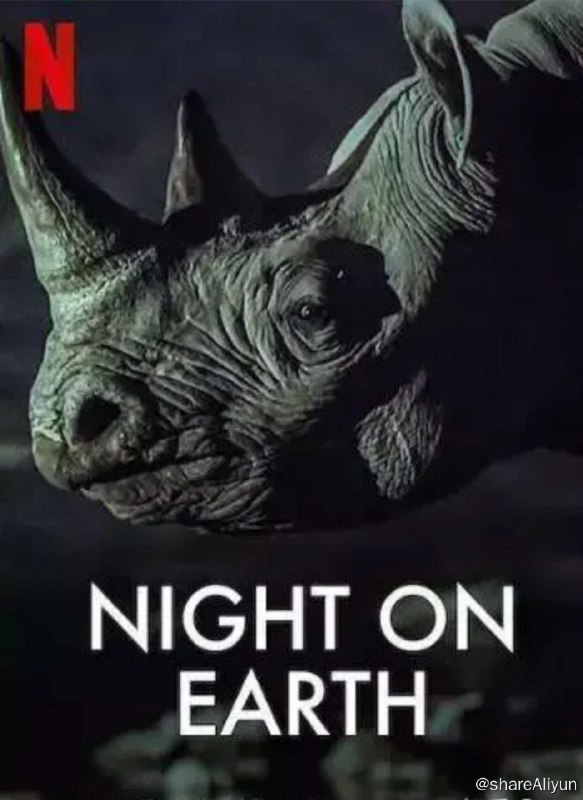 名称：地球的夜晚 S01(2020) 1080P 中字外挂字幕描述：当太阳西下，就是另一个世界苏醒之时
