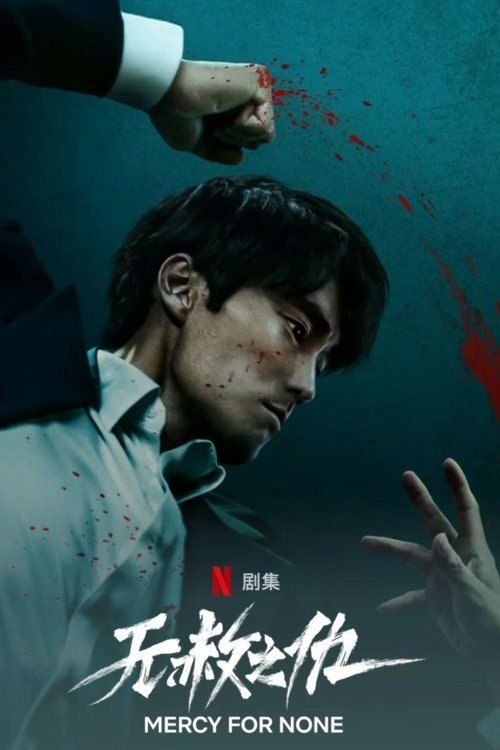 名称：无赦之仇 (2025) 4K HDR 全7集 内封简繁字幕描述：故事围绕主角南基准的过去与复仇之路展开