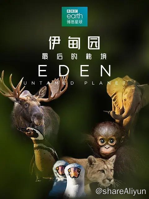 名称：《伊甸园：最后的秘境》纪录片  4K高码描述：遍寻天涯海角，前往地球上仅存的几处未经开垦的土地，探索它们的秘密，与蓬勃生机