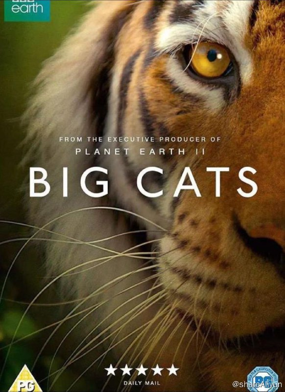 名称：BBC-大猫 S1(2018) 1080P 中英硬字幕描述：BBC最新纪录片，一个家族，40种不同面孔！将有非洲狮、虎、美洲豹、金钱豹、猎豹、云豹、雪豹、美洲狮、猞猁、豹猫、虎猫、渔猫、黑足猫、兔狲、薮猫、沙漠猫…等等很多野生猫科动物纷纷出镜
