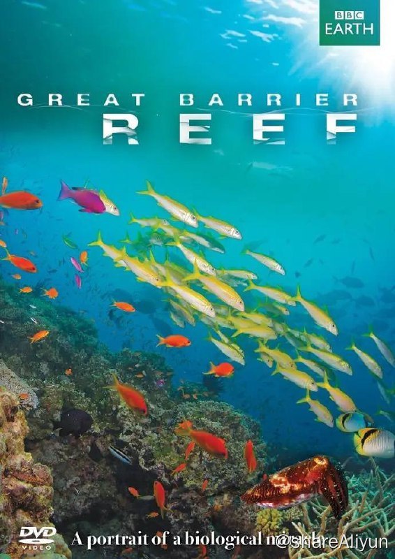 名称：大堡礁 Great Barrier Reef (2012) 高分纪录片 1080p 内封简繁英描述：该系列是水下拍摄技术的新标杆