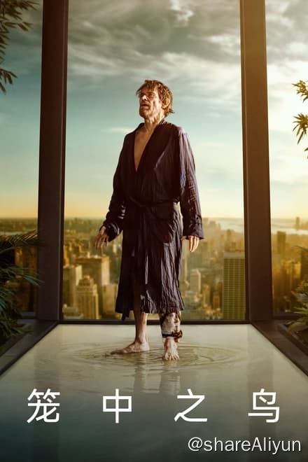 名称：笼中之鸟 (2023)✨【2160p.HDR】【原轨.高码率】11.2G描述：在一次不成功的行窃之后，艺术品大盗尼莫被困在一间纽约的高层豪宅里，被艺术珍品环绕，而他必须找到逃离这里的方法