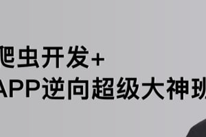 名称：【路飞学城】爬虫开发+APP逆向超级大神班-03期描述：基础知识、网站分析、网页解析、Python文件的读写、Python与数据库、AJAX技术、模拟登录、文本与数据分析、网站测试、Scrapy爬虫框架、，内容覆盖网络抓取与爬虫编程中的主要知识和技术