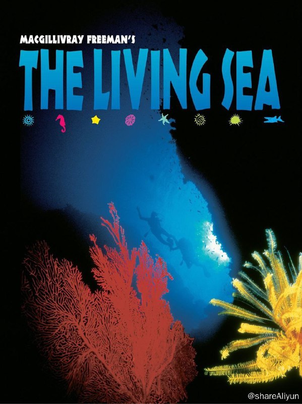 名称：生命海洋(1995) 4K 中字外挂字幕描述：全片仅40分钟，但包括了很多内容：有介绍海底风光的绚丽画面、也有与大海拚搏人们的激情展现、还有研究大海科学家们的沉思，当然也少不了夏日里面海边俊男美女