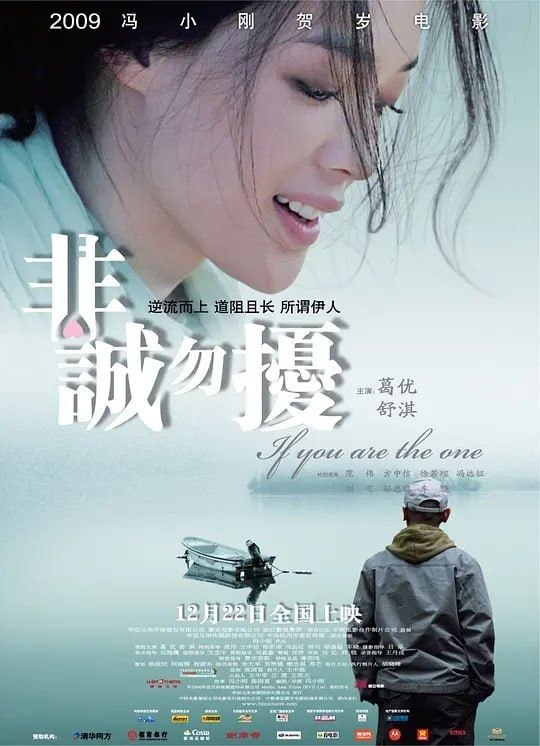 名称：非诚勿扰 (2008) 4K描述：海归秦奋(葛优 饰)的天才发明“分歧终端机”因能公平和平地解决人类分歧，被风投者以200万英镑高价买走
