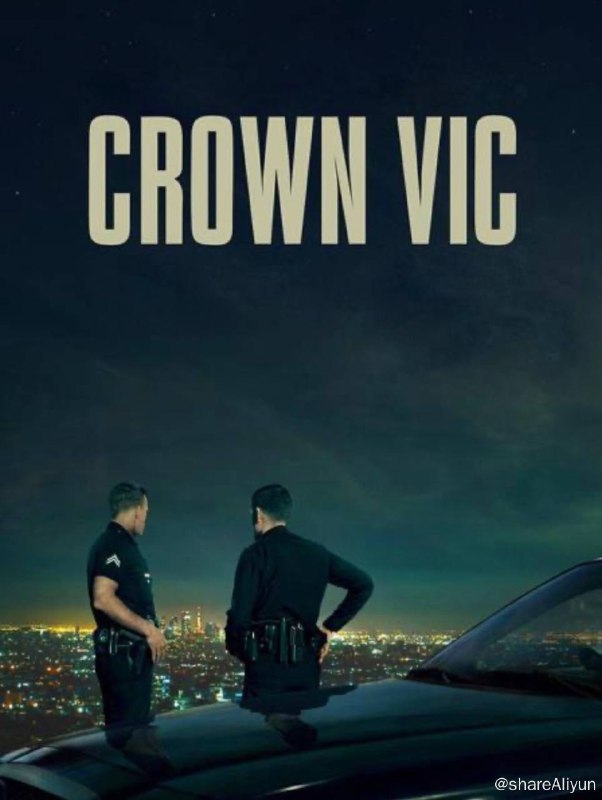 名称：洛城夜巡描述：本片讲述了洛杉矶警察局巡逻老将雷•曼德尔和新警察尼克•霍兰德在追捕两名道遥法外的杀手时度过的一个难忘的夜晚