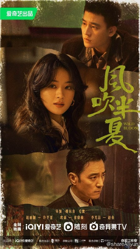 名称：风吹半夏 (2022) 4K 豆瓣高分剧描述：这是一部时代群像闯剧，讲述了以许半夏为首的有志者怀抱雄心壮志在改革开放的大潮中，奔流涌动，积极探索，不断创新的故事，也展现了上世纪九十年代中小企业在时代浪潮中生存并寻求发展的现实
