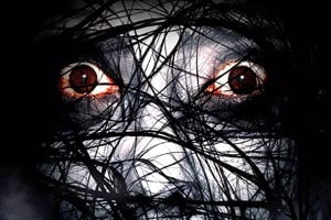 名称：国内外恐怖片合集描述：有科学家做过一个实验，说如果一个人长期处于高压工作状态，可以推荐看一部恐怖片，因为这样可以释放一个人在紧张中的压力，所以整理了一些深夜看的恐怖片电影大全！包含僵尸恐怖系列，惊悚系列，以及各种绝命毒师等系列的电影