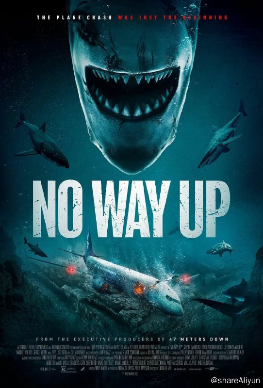 名称：深渊鲨难 2024惊悚灾难片电影 中文字幕描述：　　　一群有着不同背景阶级的乘客们所乘坐的飞机坠毁在太平洋之中，整个机身半淹没在汪洋里，机舱内的空气供应即将耗尽，然而更恐怖的是海洋里的危险也从四面八方悄然袭来