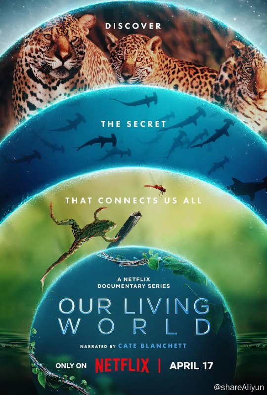 名称：我们的生物世界 Our Living World (2024) 4K描述：该纪录片系列为《全球绝美国家公园》艾美奖获奖班底最新力作，为你揭晓一个神秘的联系网络，这不仅聚集我们众人，也维系了地球上最神奇的现象：生命