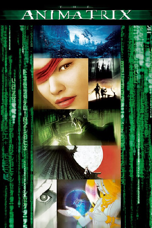 名称：黑客帝国动画版(2003)BluRay描述：《黑客帝国动画版》由9段以《黑客帝国》系列电影世界观为基础生发出的短片组成，各篇的角度与风格各异，制作班底汇聚了日本、美国、韩国三地的动画精英