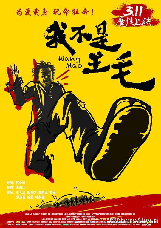 名称：我不是王毛描述：少林寺学武归来的狗剩（王大治 饰）暗恋青梅竹马的杏儿（葛晓凤 饰），但穷二代 的他遭到岳丈（罗京民 饰）嫌弃