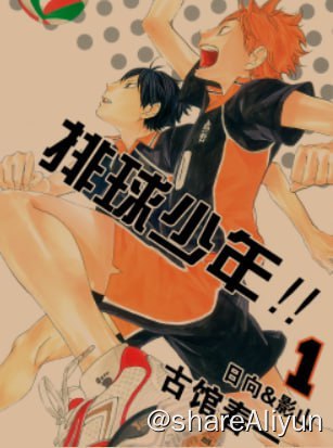 名称：排球少年漫画（简繁日，部分阿里首发）+番剧整合（全四季）描述：日漫分享计划之——- 名称：排球少年漫画（简繁日）+番剧整合（全四季）- 状态：漫画完结，付费- 语言：简繁日- 像素：>超清，附全彩版01-30卷链接：