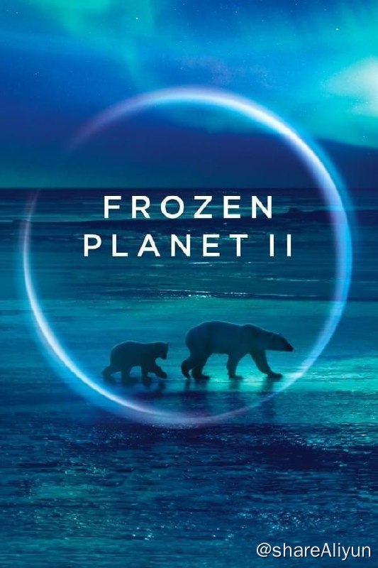 名称：冰冻星球 S2 (2022) 4K HLG 中字外挂字幕描述：南北两极、白雪覆盖的森林和北方的平原、遥远的山脉，这些地方有着奇妙而多样化的生态系统，似乎尚未受到人类活动的直接影响