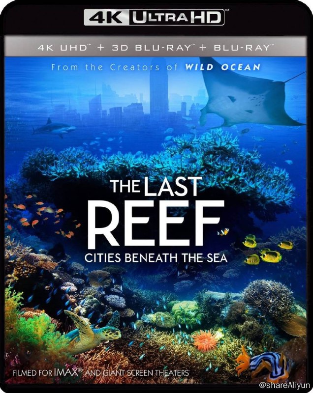 名称：最后的珊瑚礁 4K原盘REMUX [HDR] [内封简英双字]描述：最后的珊瑚礁的剧情简介 · · · · · ·从百老汇节目STOMP和获奖电影《狂野海洋》的奥斯卡奖提名创作者那里，《最后的礁石》是一种令人振奋，鼓舞人心的大幅面和3D电影体验，捕捉了大自然中更有活力和多样化的仙境之一