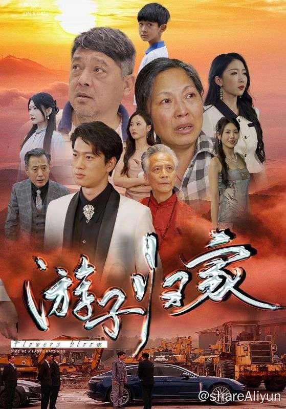 名称：游子归家 - 2024.S01.720p描述：二十年前，林天佑因车祸与父母失散，被叶氏集团董事长收养