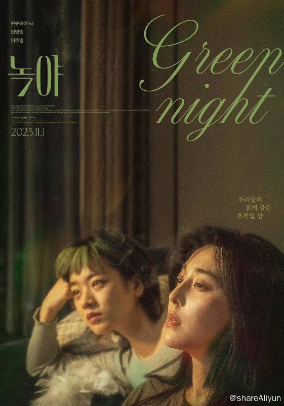 名称：绿夜 (2023) 1080p 外挂简中【范冰冰主演】描述：中国移民静霞在首尔机场安检处工作，某天一个绿发女孩闯入了她的视线