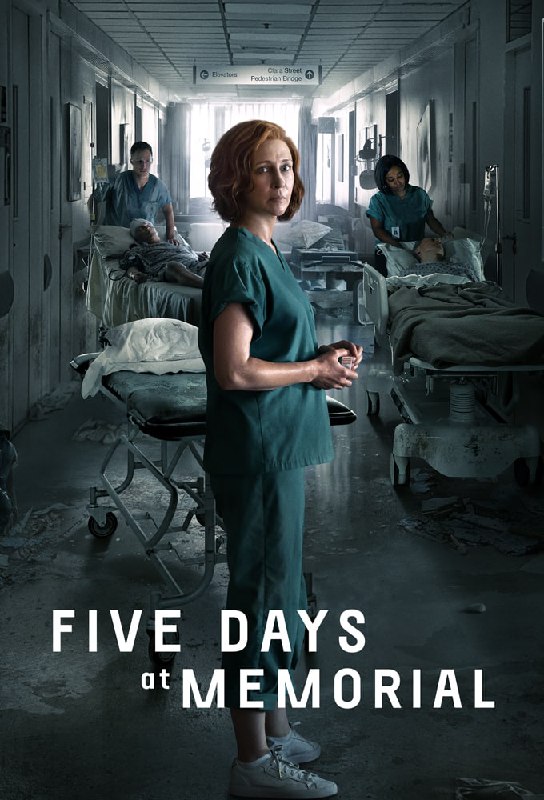 名称：医院五日 Five Days at Memorial 8 集全 4K HDR描述：该剧改编自Sheri Fink的同名纪实文学，讲述新奥尔良一家医院里精疲力竭的护理人员在风暴过后被迫做出令人心碎的决定的故事