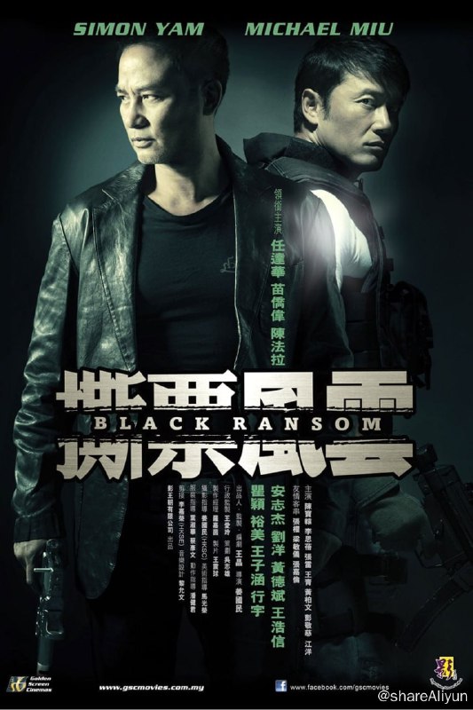 名称：撕票风云 (2010) 港版原盘REMUX [内封简繁中字]描述：连串黑帮老大遭绑架、勒索以及撕票，警方对此案调查毫无头绪